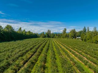 Photo 38: 27911 56 Avenue in Abbotsford: Poplar Agri-Business for sale : MLS®# C8056582