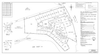 Photo 3: Lot 19 Range Rd 83B in Rural Bighorn No. 8, M.D. of: Rural Bighorn M.D. Residential Land for sale : MLS®# A2091809