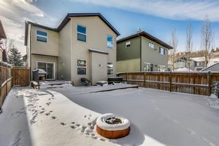 Photo 43: 147 Chaparral Valley Terrace SE in Calgary: Chaparral Detached for sale : MLS®# A1184710