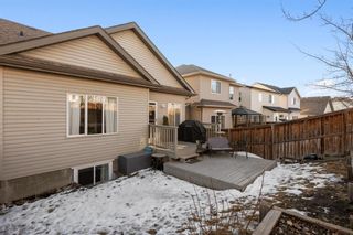 Photo 29: 46 Evansbrooke Way NW in Calgary: Evanston Detached for sale : MLS®# A1184888