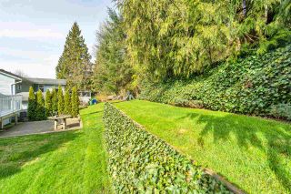 Photo 36: 3046 MCMILLAN Road in Abbotsford: Abbotsford East House for sale : MLS®# R2560396
