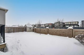 Photo 45: 161 Rainbow Falls Heath: Chestermere Detached for sale : MLS®# A2125718