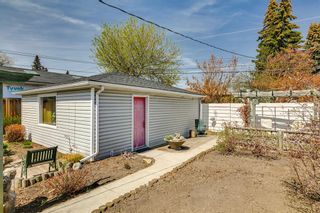 Photo 42: 4804 30 Avenue SW in Calgary: Glenbrook Detached for sale : MLS®# A2039513