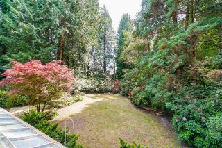 Photo 13: 4743 NEVILLE Street in Burnaby: South Slope House for sale (Burnaby South)  : MLS®# R2272990