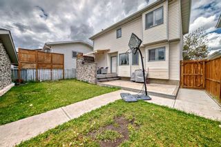 Photo 44: 2119 24 Avenue NE in Calgary: Vista Heights Detached for sale : MLS®# A2142235