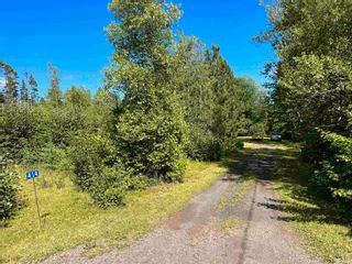 Photo 10: 414 Otter Road in Waterside: 108-Rural Pictou County Residential for sale (Northern Region)  : MLS®# 202217983