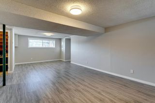 Photo 37: 3812 49 Street NE in Calgary: Whitehorn Detached for sale : MLS®# A1054455