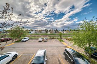 Photo 15: 209 1717 60 Street SE in Calgary: Red Carpet Apartment for sale : MLS®# A2133379