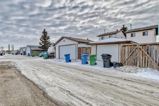 Photo 46: 56 Taraglen Road NE in Calgary: Taradale Detached for sale : MLS®# A2020379