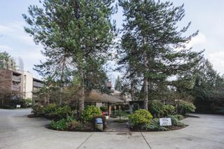 Photo 33: 509 9867 MANCHESTER Drive in Burnaby: Cariboo Condo for sale in "BARCLAY WOODS" (Burnaby North)  : MLS®# R2865204