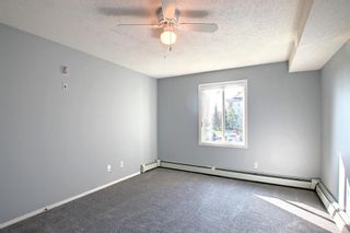 Photo 17: 2216 2000 Somervale Court SW in Calgary: Somerset Apartment for sale : MLS®# A1254395