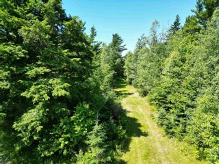Photo 6: Lot Lovat Road in Salt Springs: 108-Rural Pictou County Vacant Land for sale (Northern Region)  : MLS®# 202216576