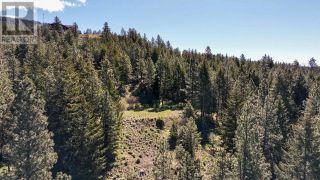 Photo 64: LOT 4 WHITETAIL Place in Osoyoos: Vacant Land for sale : MLS®# 198188