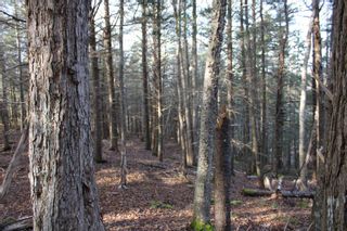 Photo 11: Lot 1 Power Lot Road in Clementsport: Annapolis County Vacant Land for sale (Annapolis Valley)  : MLS®# 202227444