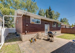 Photo 39: 3435 19 Street NW in Calgary: Charleswood Detached for sale : MLS®# A1241345
