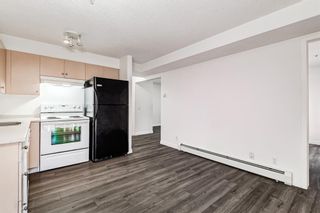 Photo 13: 3209 1620 70 Street SE in Calgary: Applewood Park Apartment for sale : MLS®# A1116068