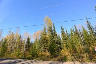 Photo 16: Lot 8 GLACIER VIEW Road in Smithers: Smithers - Rural Land for sale in "Silvern Estates" (Smithers And Area (Zone 54))  : MLS®# R2410914