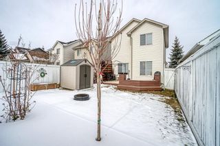 Photo 33: 427 Bridlewood Avenue SW in Calgary: Bridlewood Detached for sale : MLS®# A1187607