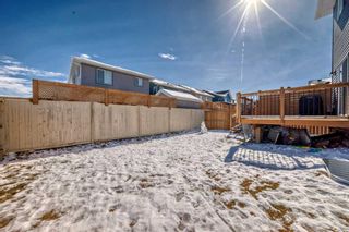 Photo 41: 476 Bayview Way: Airdrie Detached for sale : MLS®# A2118083