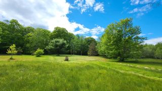 Photo 10: Acreage Aldershot Road in North Kentville: Kings County Vacant Land for sale (Annapolis Valley)  : MLS®# 202412443