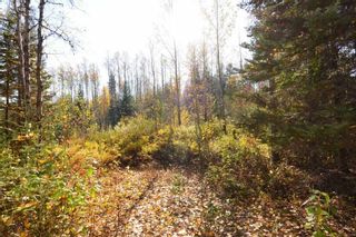 Photo 6: Lot 8 GLACIER VIEW Road in Smithers: Smithers - Rural Land for sale in "Silvern Estates" (Smithers And Area (Zone 54))  : MLS®# R2410914