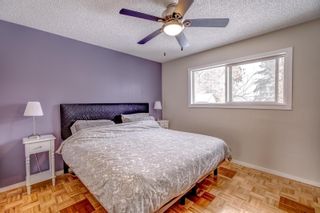 Photo 9: 768 Franklyn Road, in Lumby: House for sale : MLS®# 10270447