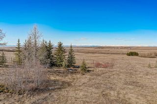 Photo 10: 418001 Highway 783: Rural Foothills County Detached for sale : MLS®# A2122401