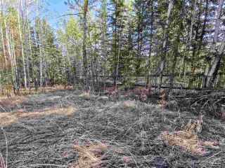 Photo 5: 12925 CHERRY Road: Charlie Lake Land for sale in "CHARLIE LAKE" (Fort St. John (Zone 60))  : MLS®# R2519694