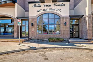 Main Photo: 427 1727 54 Street SE in Calgary: Penbrooke Meadows Apartment for sale : MLS®# A2135300