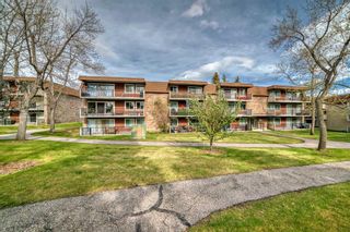 Photo 35: 88E 231 Heritage Drive SE in Calgary: Acadia Apartment for sale : MLS®# A2132710