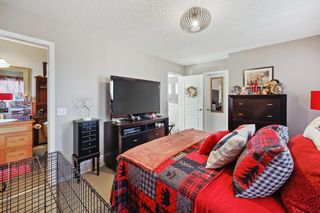 Photo 18: 246 Sagewood Gardens SW: Airdrie Detached for sale : MLS®# A2027851