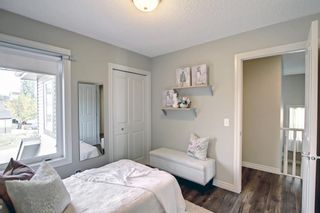 Photo 29: 160 Evansbrooke Landing NW in Calgary: Evanston Detached for sale : MLS®# A1149743