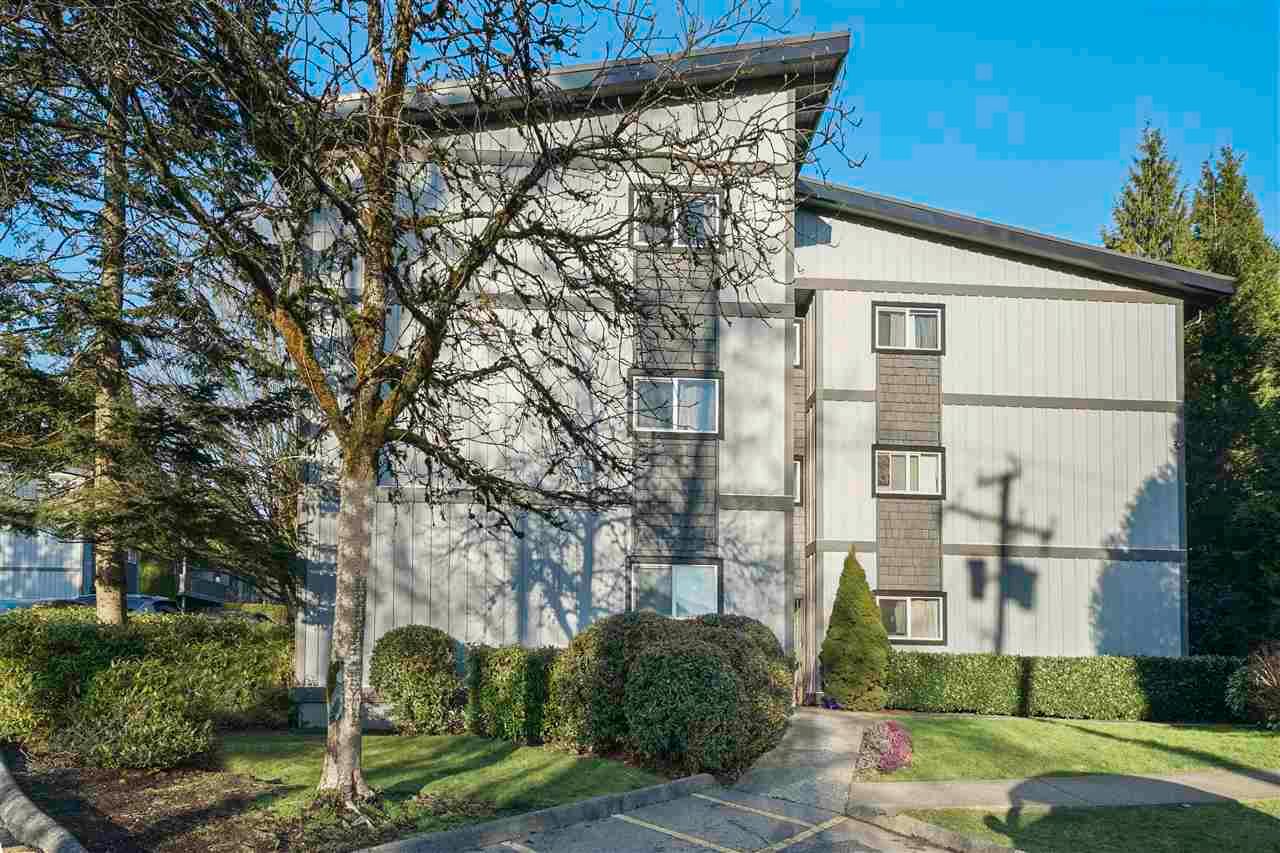 Main Photo: 243 202 WESTHILL Place in Port Moody: College Park PM Condo for sale : MLS®# R2575361