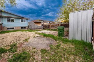 Photo 33: 107 Dovertree Place SE in Calgary: Dover Semi Detached (Half Duplex) for sale : MLS®# A2131844