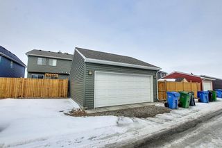 Photo 33: 91 Auburn Meadows Heath SE in Calgary: Auburn Bay Semi Detached for sale : MLS®# A1074347