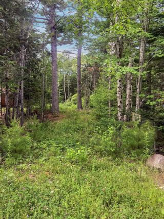Photo 2: 154 Canyon Point Road in Vaughan: Hants County Vacant Land for sale (Annapolis Valley)  : MLS®# 202202695