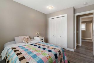 Photo 14: 244 Dovely Place SE in Calgary: Dover Detached for sale : MLS®# A2132664