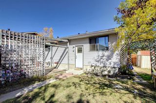 Photo 33: 107 Castlebrook Drive NE in Calgary: Castleridge Detached for sale : MLS®# A2003208