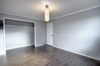 Photo 21: 4603 43 Street NE in Calgary: Whitehorn Detached for sale : MLS®# A1031744
