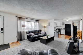 Photo 7: 20 Spring Dale Court: Airdrie Detached for sale : MLS®# A2114678