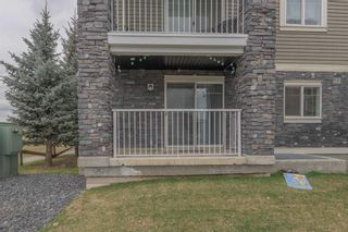 Photo 22: 3101 115 Prestwick Villas SE in Calgary: McKenzie Towne Apartment for sale : MLS®# A2129213