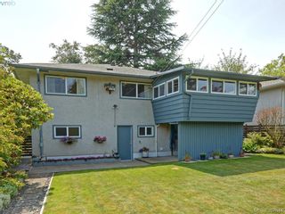 Photo 21: 1290 Camrose Cres in VICTORIA: SE Cedar Hill House for sale (Saanich East)  : MLS®# 794232