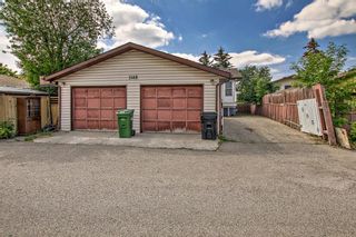 Photo 41: 1148 Falconridge Drive NE in Calgary: Falconridge Detached for sale : MLS®# A2054530