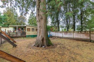Photo 4: 9805 203 Street in Langley: Walnut Grove House for sale : MLS®# R2734300