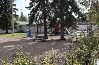 Photo 33: : Rural Wetaskiwin County House for sale : MLS®# E4356477