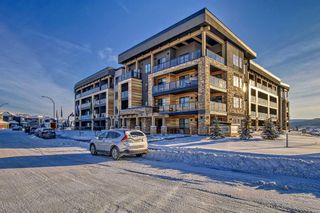 Photo 4: 111 55 Wolf Hollow Crescent SE in Calgary: C-281 Apartment for sale : MLS®# A2102536