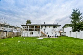 Photo 20: 14524 109 Avenue in Surrey: Bolivar Heights House for sale (North Surrey)  : MLS®# R2244679