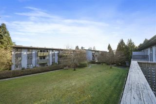 Photo 16: 239 202 WESTHILL Place in Port Moody: College Park PM Condo for sale in "Westhill Place" : MLS®# R2558066