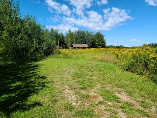 Photo 11: On Range Road 52: Rural Parkland County Commercial Land for sale : MLS®# A1252782