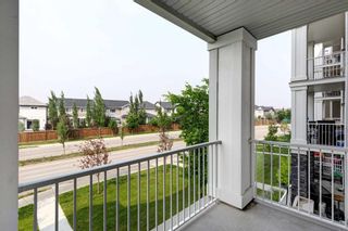 Photo 26: 3208 522 Cranford Drive SE in Calgary: Cranston Apartment for sale : MLS®# A2058568
